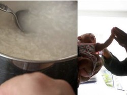 Beri Nasi Lembek ke Bayinya, Wanita Ini Dicap Sebagai Ibu Tak Bijak