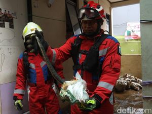 Bersih-bersih Sisa Banjir, Warga Kebon Pala Temukan Ular Bersih-bersih Sisa Banjir, Warga Kebon Pala Temukan Ular