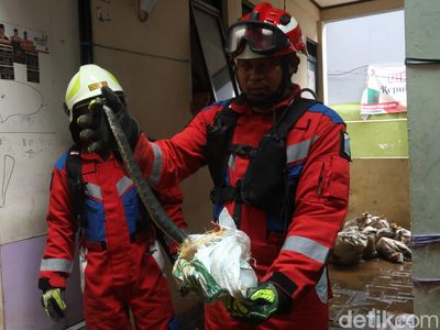 Bersih-bersih Sisa Banjir, Warga Kebon Pala Temukan Ular