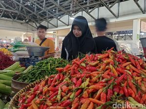 Makin Mahal! Harga Cabai Rawit di Paluta Meroket Tembus Rp 60 Ribu per Kg Makin Mahal! Harga Cabai Rawit di Paluta Meroket Tembus Rp 60 Ribu per Kg