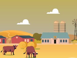 Lewat Pertanian, Desa BRILian di Merauke Geliatkan Ekonomi Warga