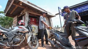 Kisah Transmigran Jawa Bantu Ekonomi Petani Merauke