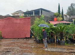 Talut 12 Meter di Ngablak Magelang Longsor, 1 Orang Tewas Tertimbun