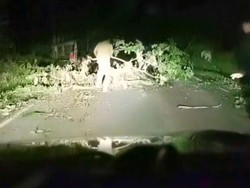 Viral Kawanan Pria di Tapsel Pungli Modus Tutup Jalan Pakai Pohon, 3 Ditangkap