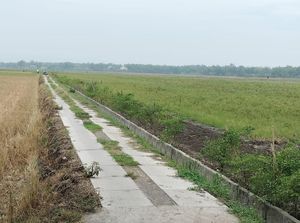 JUT Dibangun Pemkab Bojonegoro, Warga: Alhamdulillah Kurangi Operasional JUT Dibangun Pemkab Bojonegoro, Warga: Alhamdulillah Kurangi Operasional