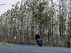 Masyarakat Respons Baik Peningkatan Infrastruktur Jalan di Bojonegoro