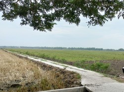 Pemkab Bojonegoro Bangun 375 Jalan Usaha Tani dalam 2 Tahun Terakhir