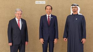 Potret Jokowi di Dubai, Hadiri KTT Perubahan Iklim COP28