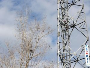 Punya 144 BTS, Natuna Perlahan Bebas Blank Spot Punya 144 BTS, Natuna Perlahan Bebas Blank Spot