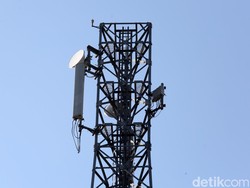 BAKTI Kominfo Akan Bangun BTS di 86 Titik Hutan Papua-Sulawesi Tengah