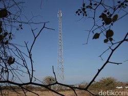 UU Telekomunikasi Sudah Usang, Google Cs Untung yang Lain Buntung