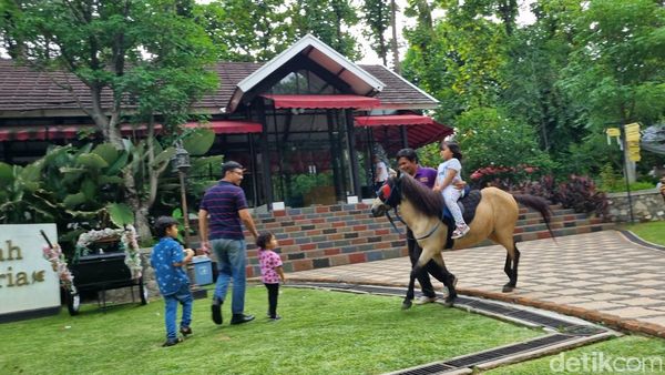 Jakarta Escape, Hidden Gems di Bekasi