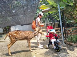 Wajib Masuk List, Ini 10 Ide Liburan Akhir Tahun di Jakarta dan Sekitarnya