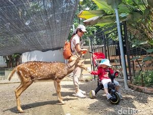 Jakarta Escape, Spot Wisata Ramah Keluarga di Perkotaan Jakarta Escape, Spot Wisata Ramah Keluarga di Perkotaan