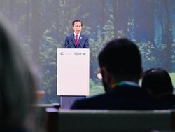 Jokowi Ungkap Langkah RI Capai Net Carbon Sektor Sink Hutan dan Lahan