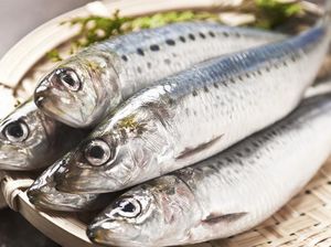 Makan Ikan Sarden Segar Dapat Membuat Kulit Cerah Berseri Makan Ikan Sarden Segar Dapat Membuat Kulit Cerah Berseri