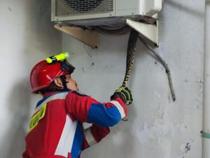 Ngeri! Ular Sanca Ngumpet di Kompresor AC Rumah Warga Jakut