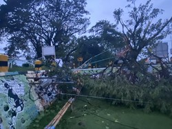 Hujan Deras Disertai Angin Kencang Robohkan Pohon dan Tiang Listrik di Madiun