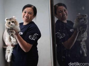 Ikut Kontes Kucing Sampai ke Eropa Ikut Kontes Kucing Sampai ke Eropa