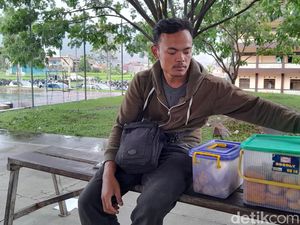 Didikan Ortu Buat Januari Punya Mental Baja Jualan Risol di Kampus Didikan Ortu Buat Januari Punya Mental Baja Jualan Risol di Kampus