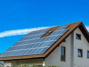 Lisplang: Pengertian, Fungsi, Jenis beserta Harganya