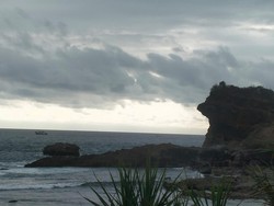 Viral Video Penampakan Lumba-lumba di Pantai Papuma Jember