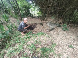Bunker Cisokan yang Jadi Kuburan Senjata dan Kendaraan Tempur di Cianjur
