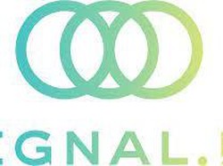 4 Film Ikonik studio Signal.MD dengan Animasinya yang Stand Out