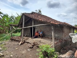 Lansia Miskin di Brebes Hidup Sebatang Kara, Rumahnya Hampir Roboh