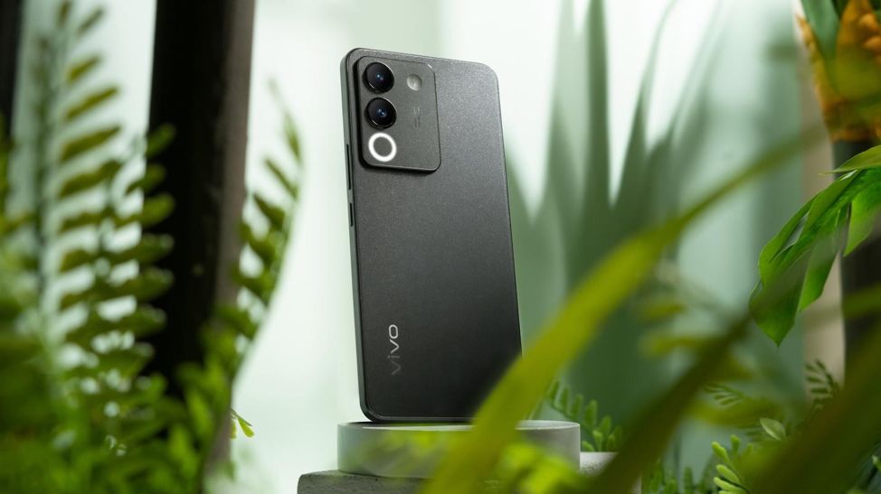ADV_VIVO