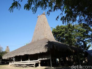 Berkunjung ke Kampung Adat Raja Prailiu Berkunjung ke Kampung Adat Raja Prailiu