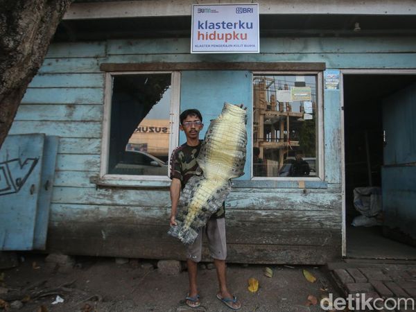 Buah Tangan Khas Merauke dari Kulit Buaya