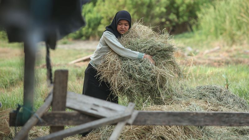 Cerita Jagoan Silat di Merauke, Ukir Prestasi Bela Diri dan Akademis