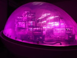 Perusahaan Perancis Kembangkan Biopod yang Tahan Perubahan Iklim dan Musim