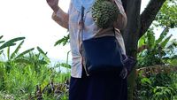Dida Sinclair, Mertua Idaman yang Hobi Berkebun dan Memasak