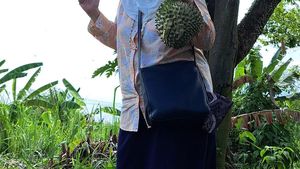 Dida Sinclair, Mertua Idaman yang Hobi Berkebun dan Memasak