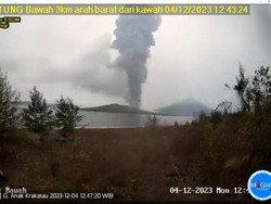 Gunung Anak Krakatau Erupsi 7 Kali, Semburan Abu Vulkanik Capai 2.157 Meter