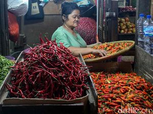 Harga Bahan Pokok Jogja Hari Ini 24 Januari 2024: Cabai Merah Ngegas Harga Bahan Pokok Jogja Hari Ini 24 Januari 2024: Cabai Merah Ngegas