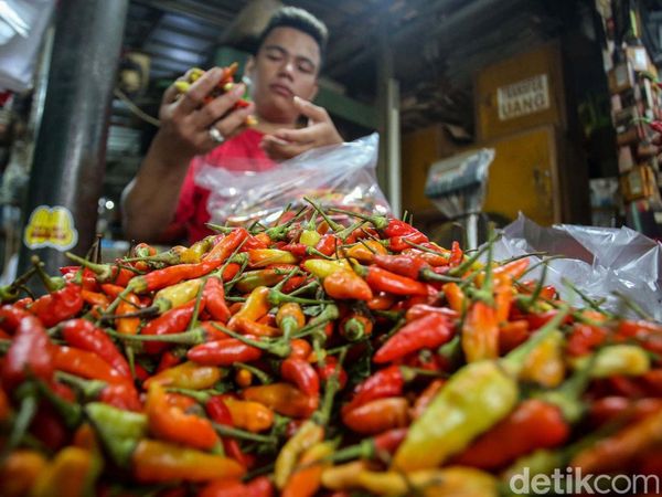 Jelang Nataru, Harga Cabai Tembus Rp 100.000