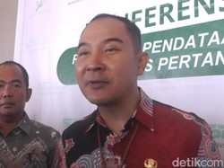 Usaha Pertanian Perorangan di Sumsel Merosot, Milenial Pilih Tak Bertani