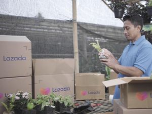 Jadi Mitra Momen Harbolnas, Lazada Tawarkan Promo 80%-Gratis Ongkir Jadi Mitra Momen Harbolnas, Lazada Tawarkan Promo 80%-Gratis Ongkir