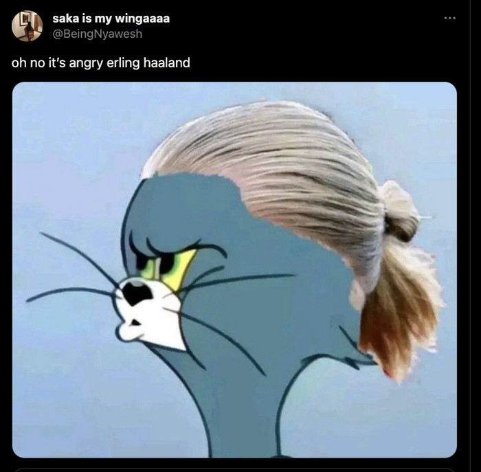 Meme Haaland Ngamuk Meme Haaland Ngamuk