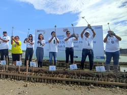 BRI Gandeng BenihBaik Tanam 33 Ribu Mangrove di 5 Daerah