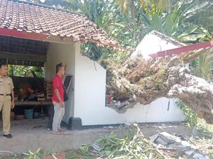Hujan Deras di Karangasem, Pura Rusak Tertimpa Pohon-Senderan Musala Jebol