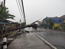 Pemotor Tabrak Pohon Tumbang di Jalan Piyungan-Prambanan Sleman