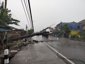 Pemotor Tabrak Pohon Tumbang di Jalan Piyungan-Prambanan Sleman Pemotor Tabrak Pohon Tumbang di Jalan Piyungan-Prambanan Sleman