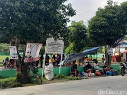 Mesti Dilarang, Pohon di Medan Tetap Dipasang Poster Caleg