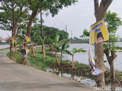 Sejumlah Peraga Kampanye Caleg di Demak Diduga Dirusak-Dicopot Orang