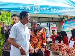 Sultan Resmikan Lumbung Mataraman di Nglipar Gunungkidul, Ini Pesannya