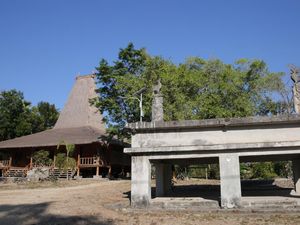 Makna Mendalam Simbol Buaya hingga Kuda untuk Masyarakat Sumba